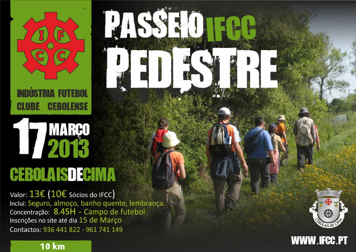 Web-PEDESTRE-2013