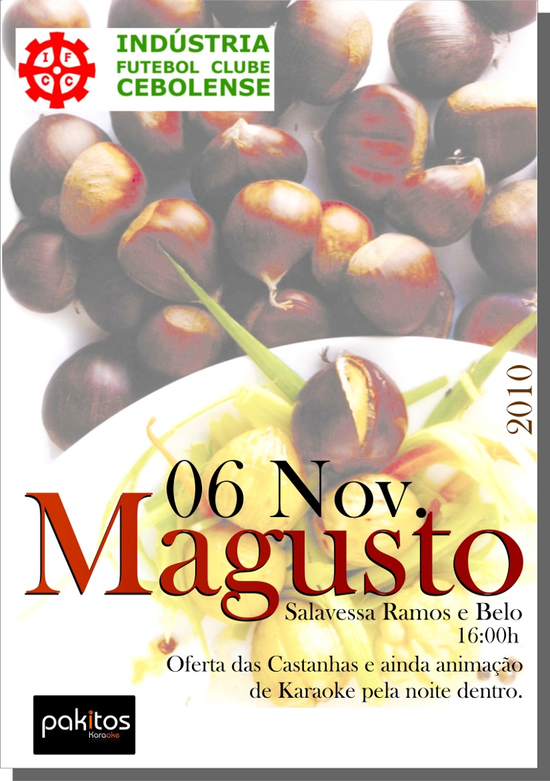 magusto_ifcc_2010-web