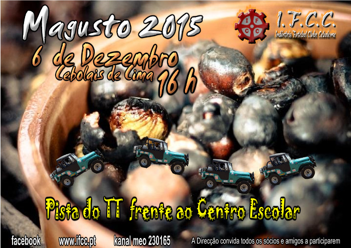 web-magusto2015